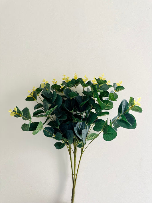 Dull Green Leaves Bunch