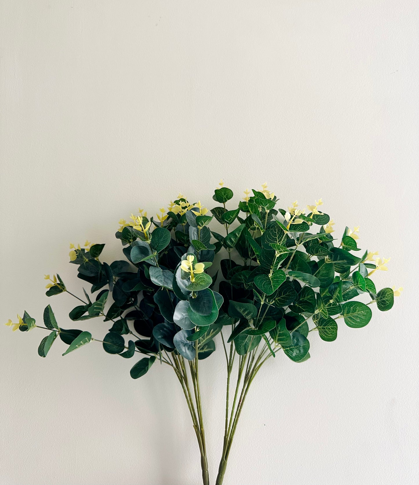 Dull Green Leaves Bunch