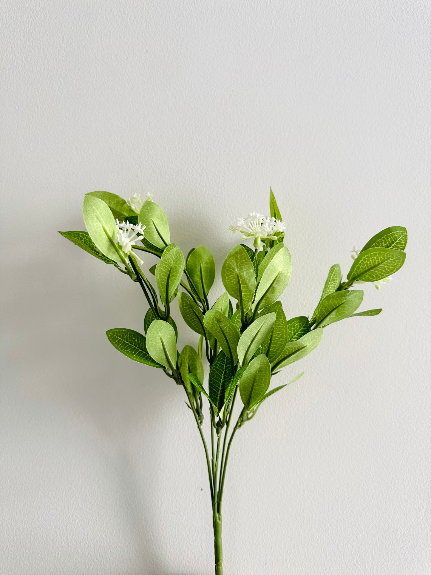Bright Green Leaves with White Flowers