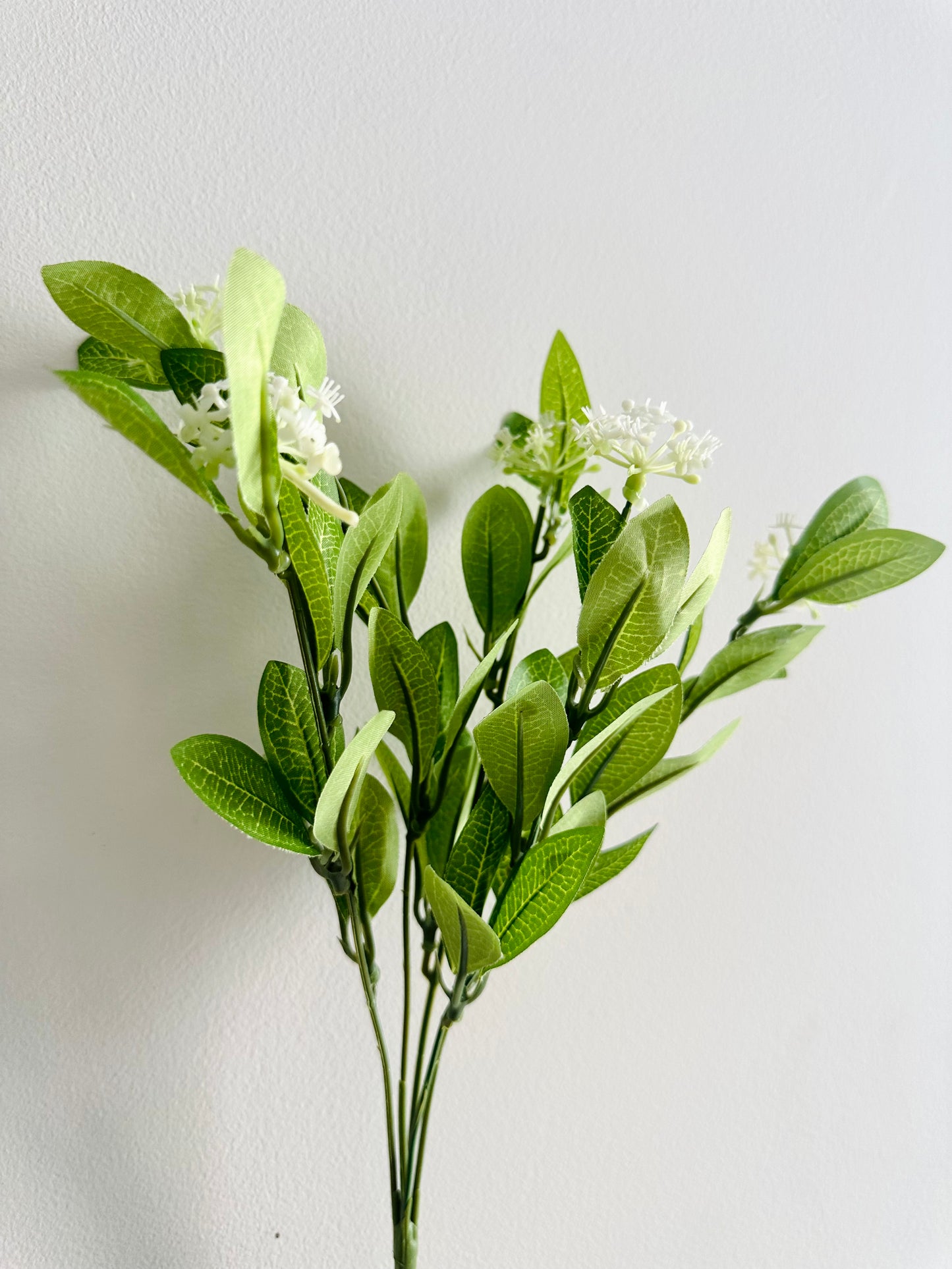 Bright Green Leaves with White Flowers