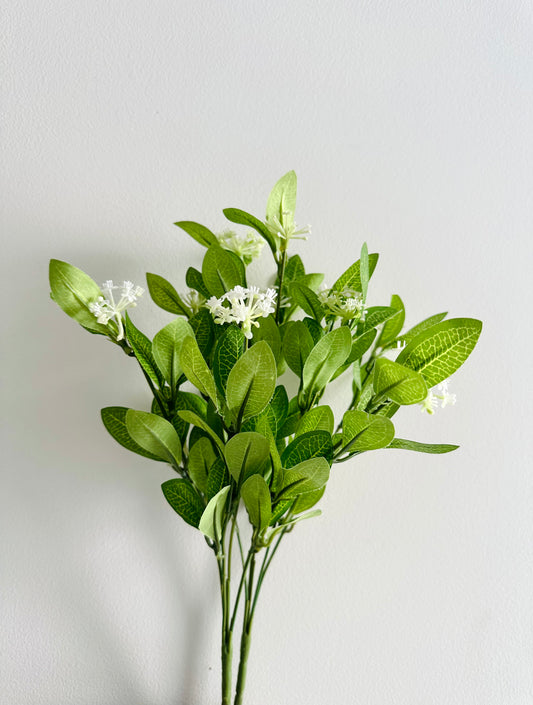 Bright Green Leaves with White Flowers