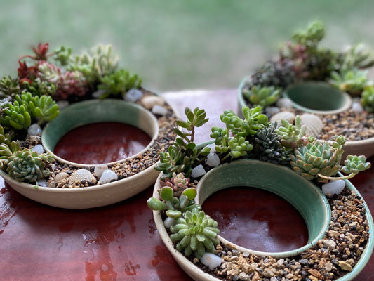 Ring Succulent Planter