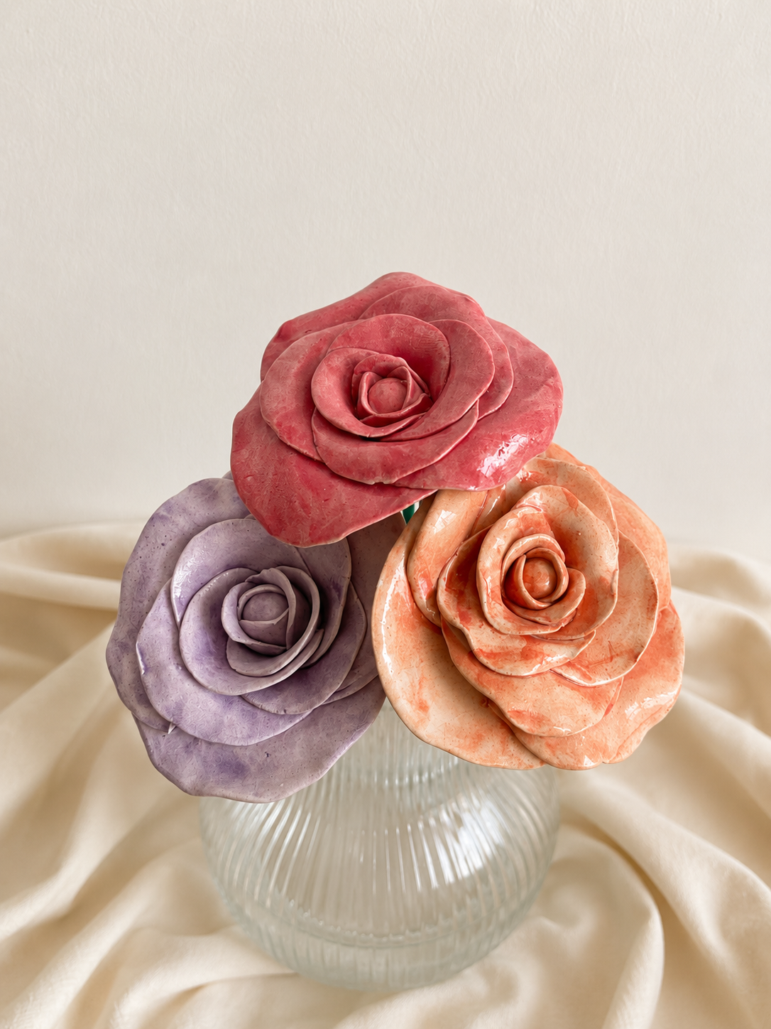 Ever-bloom Roses - Full Bloom