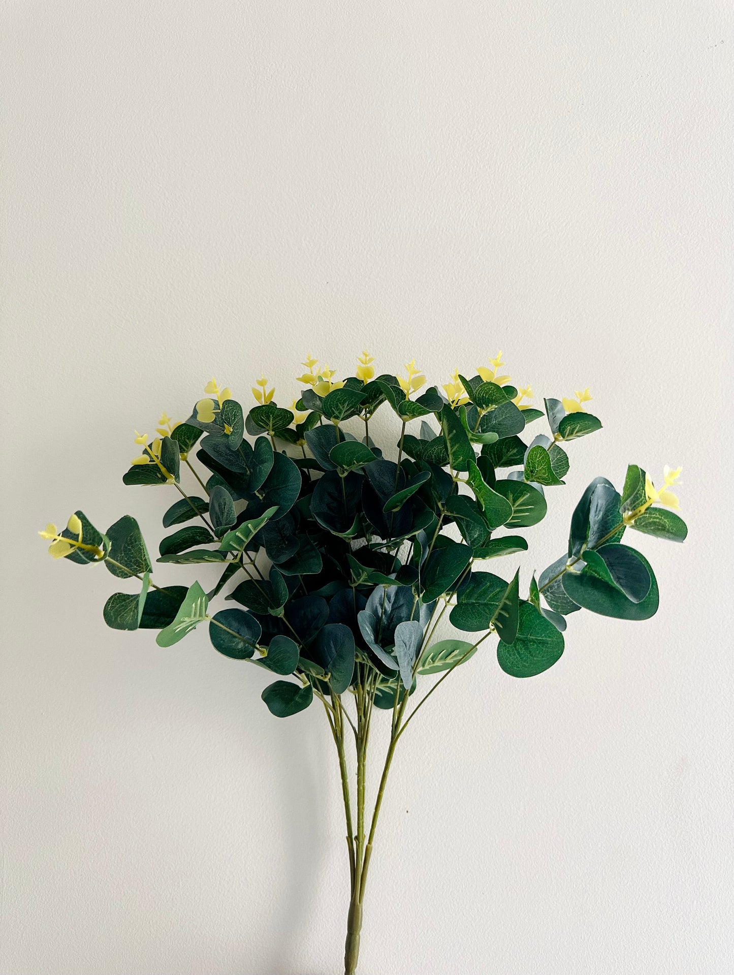 Dull Green Leaves Bunch